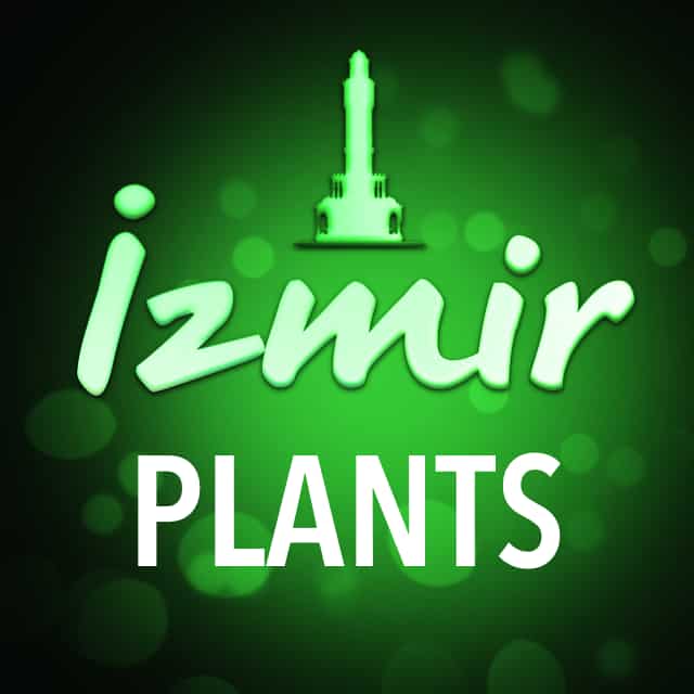 Пляжный отдых в Измире